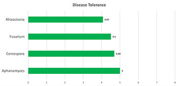 HIL9708 Disease